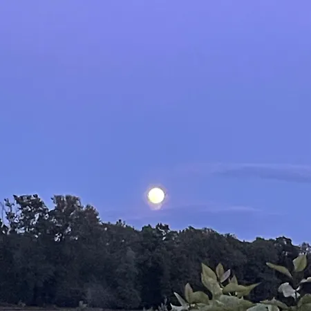 Bed and breakfast L'escafouchot De Moulere Creon-d'Armagnac