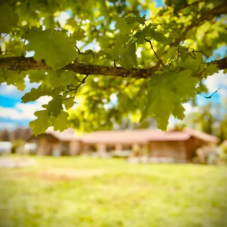 Bed & Breakfast L'escafouchot De Moulere Creon-d'Armagnac