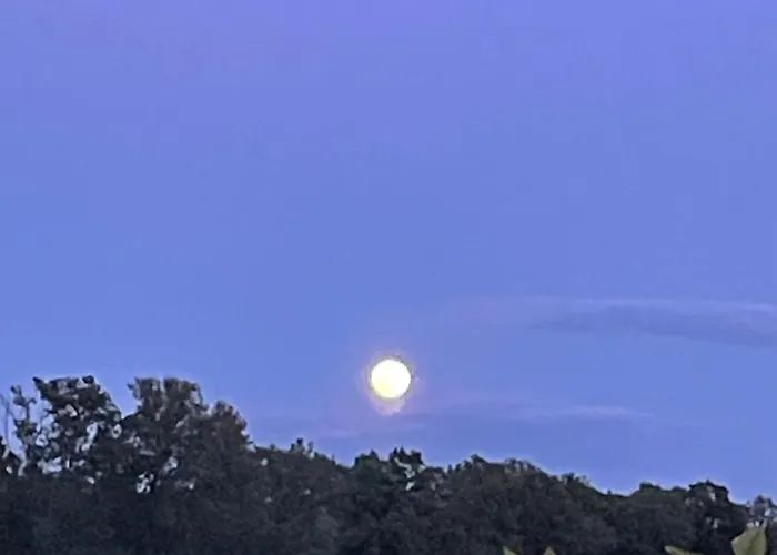 Oda ve Kahvaltı L'escafouchot De Moulere Creon-d'Armagnac