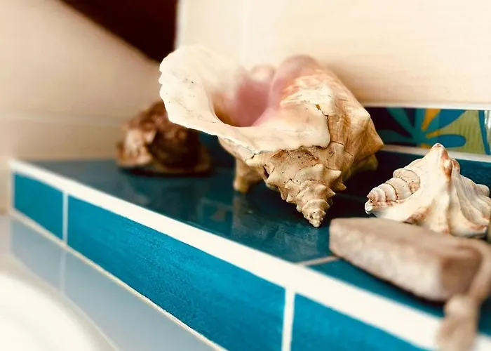 L'escafouchot De Moulere *